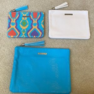 Rodan and Fields Makeup Pouch